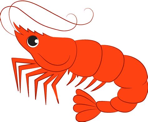 shrimp clipart|shrimp clip art transparent background.